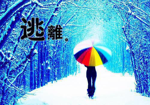 你抢我男修，我诱你徒弟破镜飞升全文目录 苏昭宁楚逸尘小说免费阅读无广告