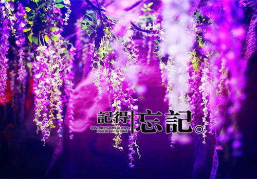 沈明姝沈尽欢小说全文阅读 沈明姝沈尽欢第三章