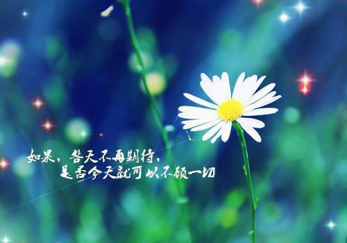 萧雨泽苏心雅小说章节目录 萧雨泽苏心雅免费阅读