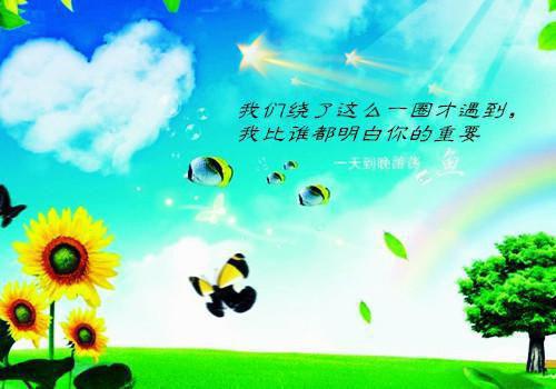 夏雪媛迟江羡的小说 夏雪媛迟江羡全文免费阅读