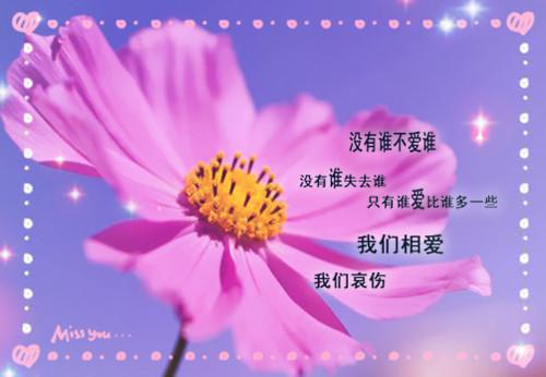 应许人间有别离：完结最新章节列表_应许人间有别离：完结全文免费阅读(柳青青)