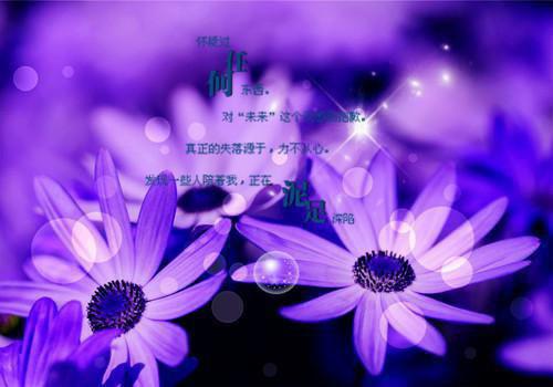 简易宁黎宸言是什么小说 简易宁黎宸言全本免费阅读