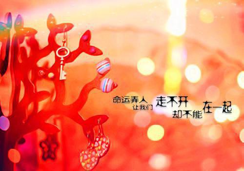 傅沉舟许知棠最后结局 傅沉舟许知棠完结版免费阅读