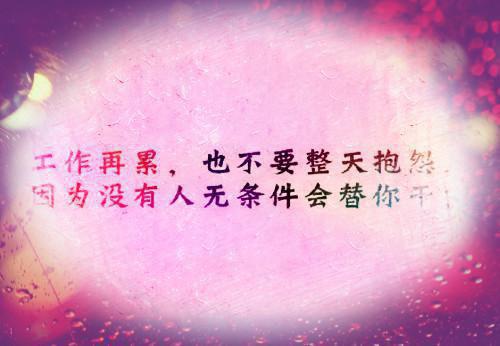 (完整版)周琰宋佳禾小说免费阅读无广告