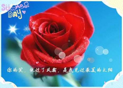 流年错付化烬尘：+后续+结局顾承安唐书婉免费阅读大结局顾承安唐书婉的小说-《流年错付化烬尘：+后续+结局》顾承安唐书婉全文无删减阅读完整章节阅读