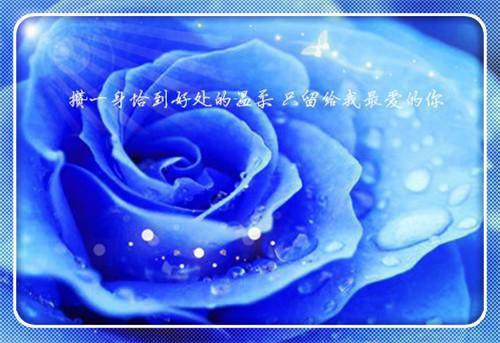 热文推荐偏偏渡晚舟:全文+番外（闻逸舟周幼宜）书荒必看列表