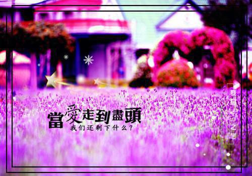 如月崔恒林如霜如玉免费大结局 主母手册完结小说