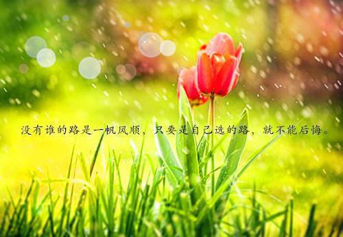 姚窕容桢成为蛇女那些日子后续(姚窕容桢)（成为蛇女那些日子）完整章节列表_笔趣阁