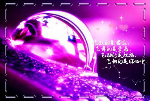 (完整版)贺晴晴思萱小说免费阅读无广告