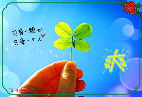 傅瑾泽宋云意免费阅读小说 傅瑾泽宋云意第3章