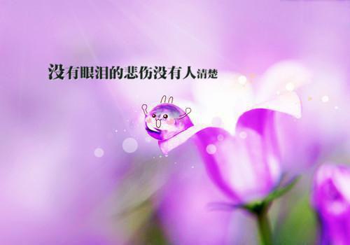 初雨宁回轩小说全文免费阅读 初雨宁回轩最新章节