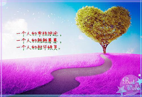 这恶毒女配任务，她接小说番外+结局（司谨年温妤棠）小说在线阅读