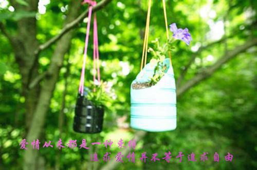 林海涛的奇妙“逆袭之旅林海涛海涛节选全文阅读_林海涛的奇妙“逆袭之旅林海涛海涛节选全文免费阅读