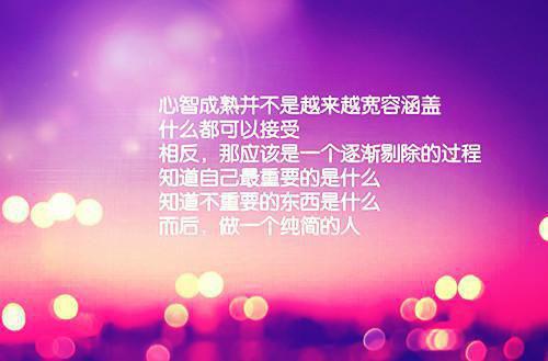 林妍谢廷是啥小说 林妍谢廷免费阅读无广告