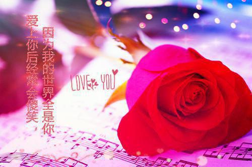 周梦璃谢明远小说 周梦璃谢明远免费章节阅读