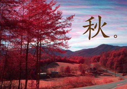 纪舒望陆知寒小说名字 纪舒望陆知寒全文免费阅读