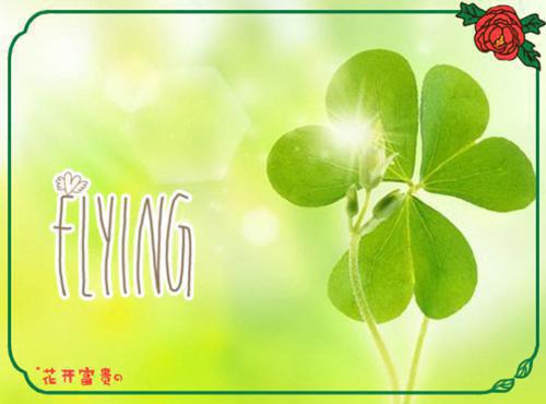 最新章节_笔趣阁（林花谢春红司烨磊）林花谢春红司烨磊小说(佘星染司烨磊)在线畅读阅读