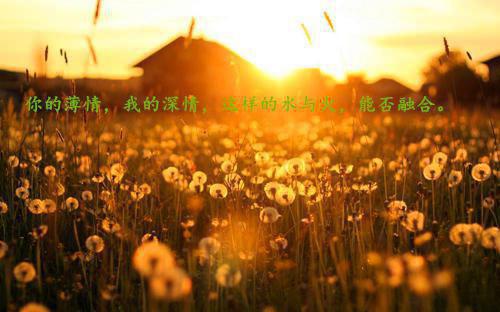 当女配看见弹幕后,被病娇男主强制爱了：+结局+番外（裴纪洲江柠）最新章节列表_当女配看见弹幕后,被病娇男主强制爱了：+结局+番外（裴纪洲江柠）当女配看见弹幕后,被病娇男主强制爱了：+结局+番外在线阅读