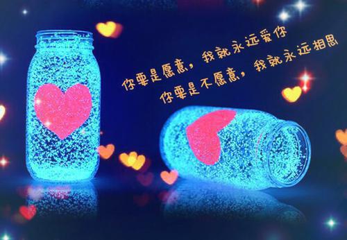 陆厉锋安可琪小说最后结局 陆厉锋安可琪完结版免费阅读