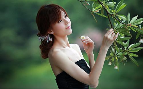 高考前，妹妹执意要和学霸家的狗换命宋莲心宋秋心免费章节在线阅读