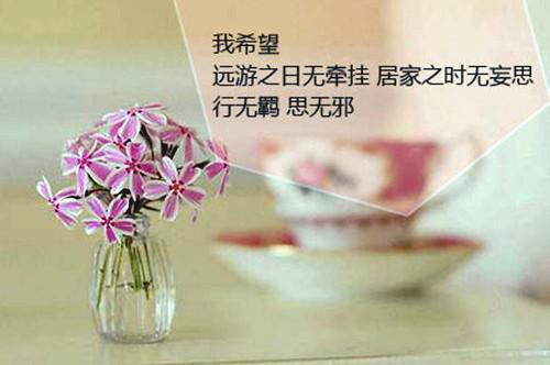 程迹宋冬宜免费大结局 程迹宋冬宜番外：结局+完整版完结小说