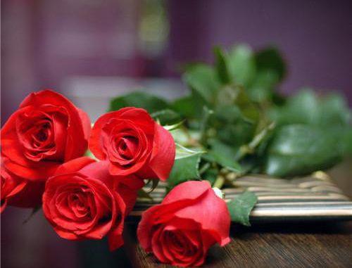 周昊周慧芳主角的书 送我上审判台后，偏心父母后悔了全文阅读免费