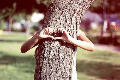 叶笑笑叶志军小说 叶笑笑叶志军免费全文阅读