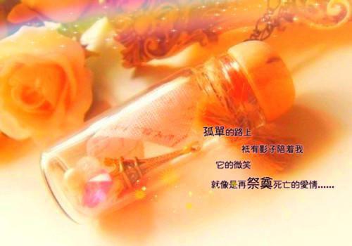 (抖音小说)季淮安姜时予免费阅读