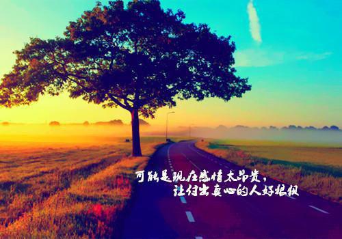 容婳裴煜泽的小说 容婳裴煜泽全文免费阅读