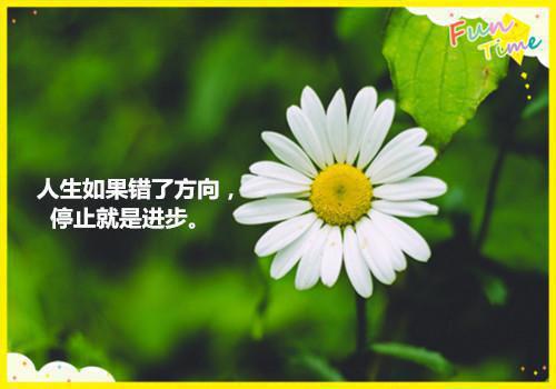 唐聿年陆思婉免费小说 唐聿年陆思婉完结版在线阅读