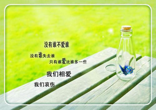 谢清欢陆亦川林念念小说 谢清欢陆亦川林念念免费全文阅读
