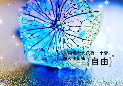 纸短情难续：前言+后续极佳剧情(秦锦瑟云璟)最新章节列表_纸短情难续：前言+后续极佳剧情全文免费阅读(秦锦瑟云璟)