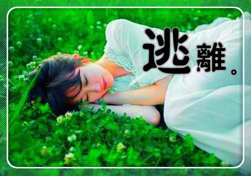你的未来，与我无关：后续小说全文+番外宋言心乔琛完结小说全文在线阅读