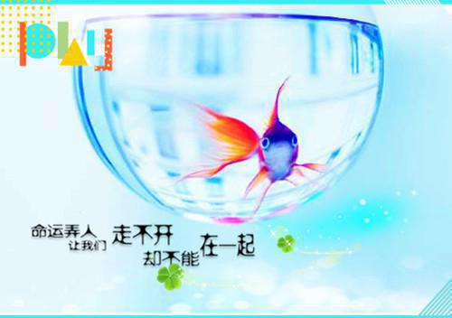 林安晟央央《他陪学妹过第99根睫毛的生长日，我走后他悔哭了》小说在线阅读