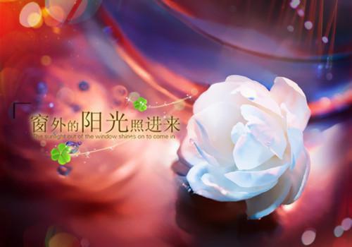 《裴临川闻落小说》无弹窗全文免费阅读