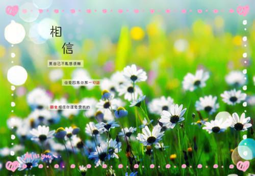 裴行川沈宥白小说在线阅读 裴行川沈宥白最新章节目录