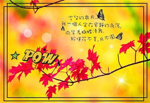 沈薇薇秦墨免费阅读目录 沈薇薇秦墨小说全文