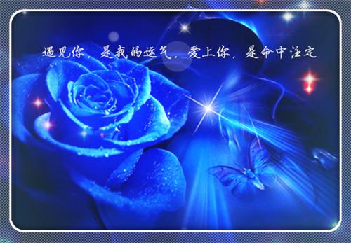 此去经年人未还言情作品（沈青禾霍沉洲）最新推荐_最新推荐此去经年人未还言情作品（沈青禾霍沉洲）