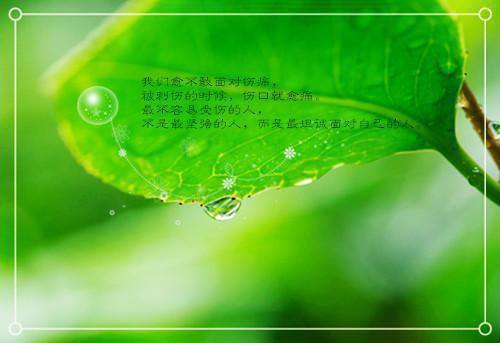 宋庭翁知念免费小说 宋庭翁知念完结版在线阅读
