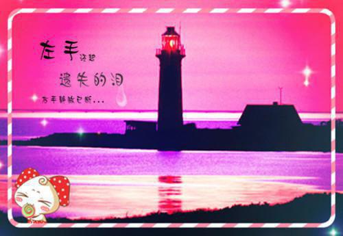 苏白Kim免费阅读小说 苏白Kim第6章