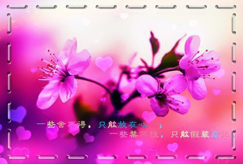 祝汐陆北野无弹窗 十年离歌，旧誓已凉祝汐陆北野全文免费阅读