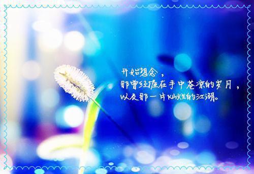 从此我无关你的消息免费阅读孟挽惜程南朝无广告小说免费在线阅读