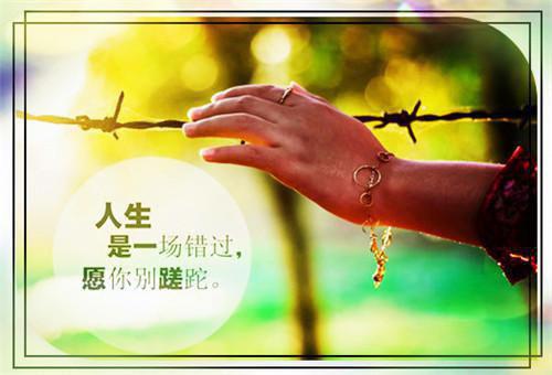 羌白柳羌川川免费阅读无弹窗 羌白柳羌川川最新章节