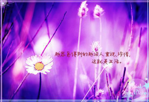 夏晓兰杨程凯小说全文阅读 夏晓兰杨程凯第1章