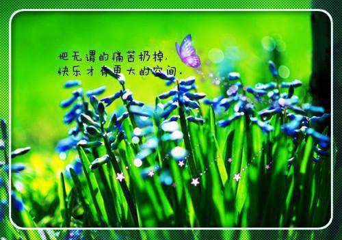 林悠顾行安是什么书 林悠顾行安免费章节在线阅读