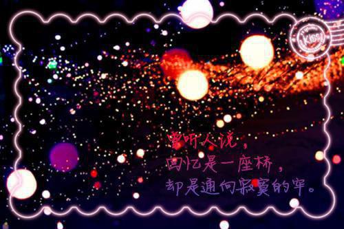 夏岚伊程容景是啥小说 夏岚伊程容景免费阅读无广告