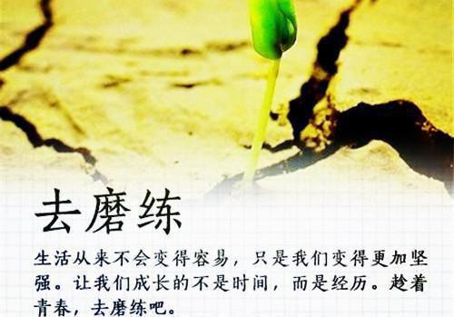 沈予舒顾亦驰小说名字 沈予舒顾亦驰全文免费阅读