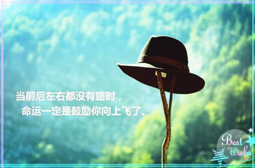脆皮鲨鱼陆临沈寒云陆娆by佚名
