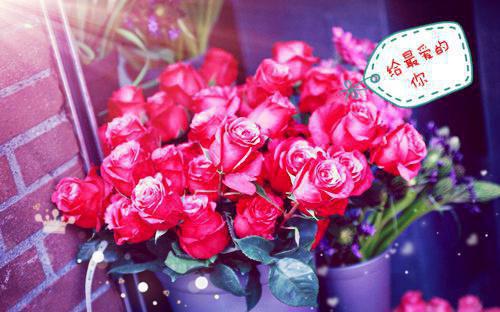 韩裕林舒雨小说免费阅读最新 林舒雨韩裕完整版