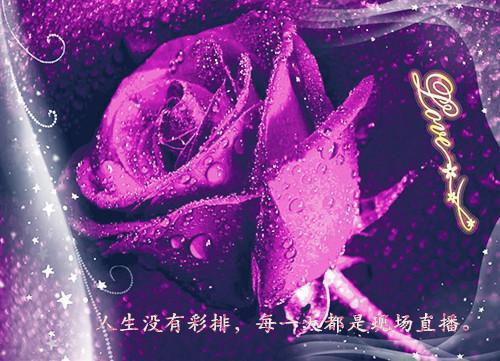 (抖音小说)景妤高宇衡免费阅读第1章